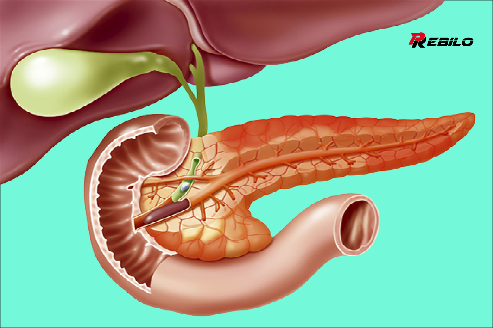 5 warning signs that your pancreas is in trouble